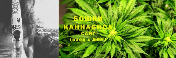 гидра Абаза