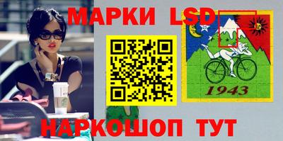 гашик Аргун