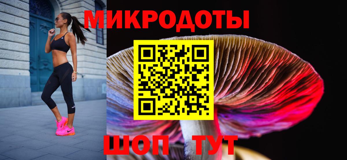 Галлюциногенные грибы Psilocybe  Людиново 