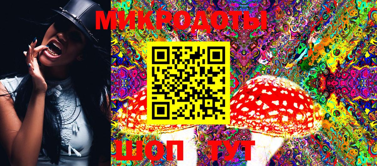 Псилоцибиновые грибы мицелий Людиново